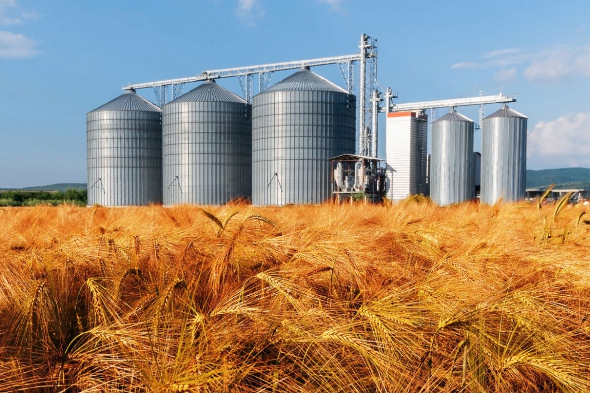 Choosing The Best Warehouse for Grain Storage